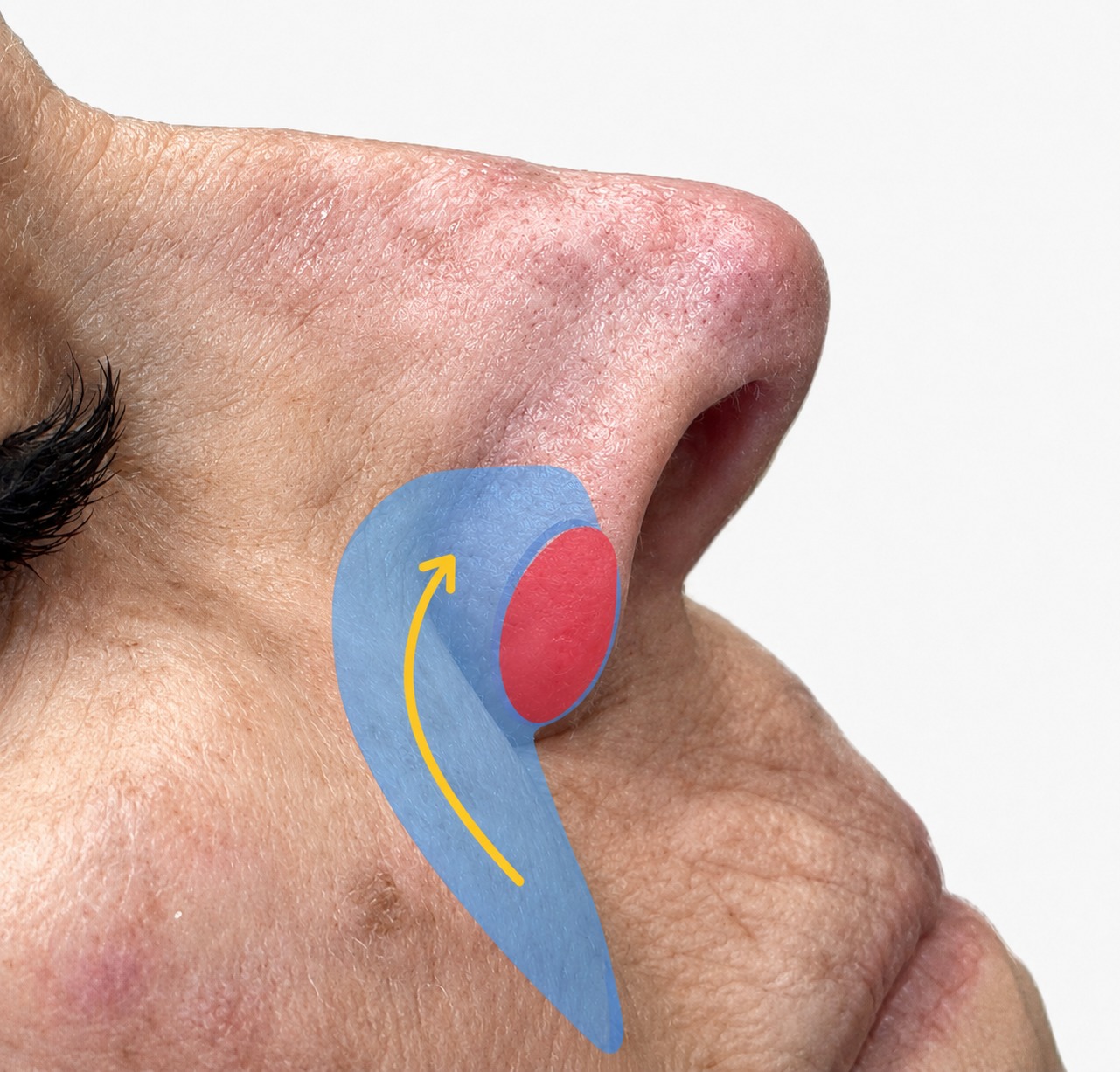 Educational reconstruction overlay for Facial Reconstruction